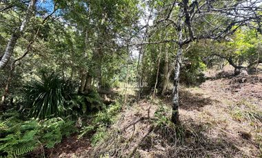 Parcela en venta en VALDIVIA