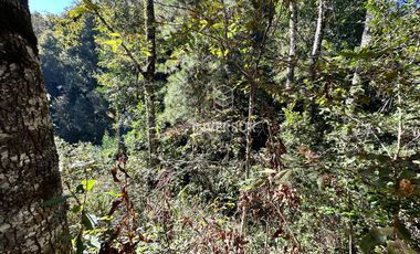 Parcela en venta en VALDIVIA