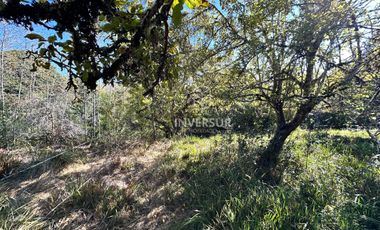 Parcela en venta en VALDIVIA