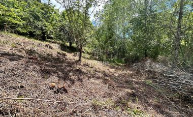 Parcela en venta en VALDIVIA