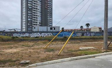 Parcela en venta  en COQUIMBO