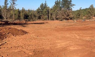 Parcela en venta en PICHILEMU