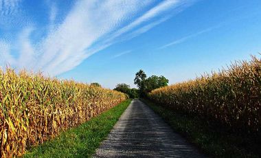 Casa en arriendo en San Vicente de Tagua Tagua, Cachapoal