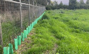 Parcela en Venta en Condominio Viñas de Santo Domingo