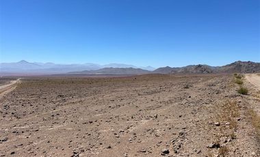 Agrícola en Venta en LOTE 2100 ESTANCIA DÉLANO