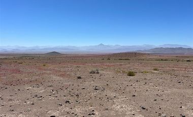 Agrícola en Venta en LOTE 2100 ESTANCIA DÉLANO