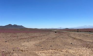 Agrícola en Venta en LOTE 2100 ESTANCIA DÉLANO