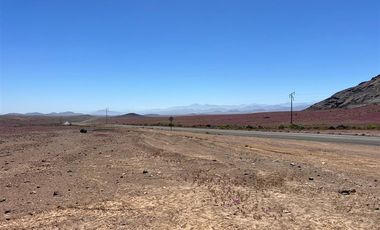 Agrícola en Venta en LOTE 2100 ESTANCIA DÉLANO