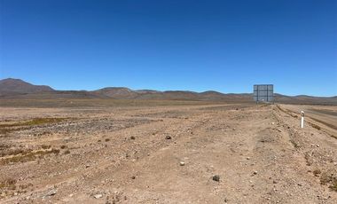 Agrícola en Venta en LOTE 2100 ESTANCIA DÉLANO