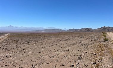 Agrícola en Venta en LOTE 2100 ESTANCIA DÉLANO