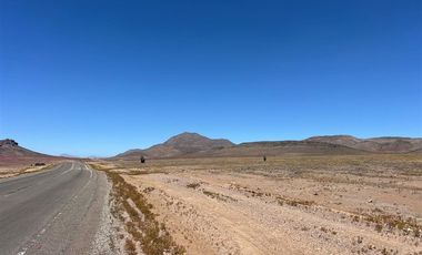 Agrícola en Venta en LOTE 2100 ESTANCIA DÉLANO