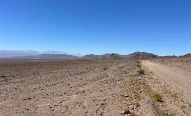 Agrícola en Venta en LOTE 2100 ESTANCIA DÉLANO