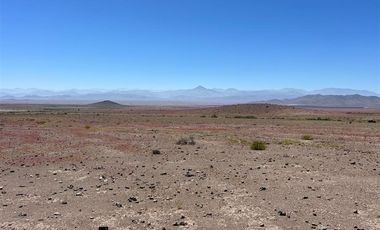 Agrícola en Venta en LOTE 2100 ESTANCIA DÉLANO