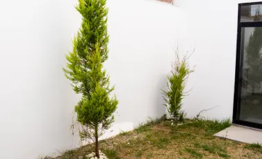 Casa en venta en Miraflores, Tlaxcala, Tlaxcala