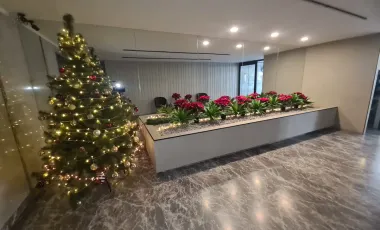 Departamento en renta en Polanco I Sección, Miguel Hidalgo, Ciudad de México