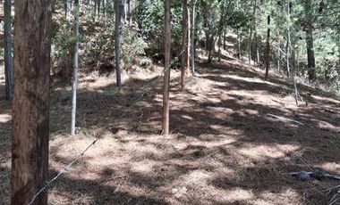 Parcela en Venta en Cabeceras, Paredones