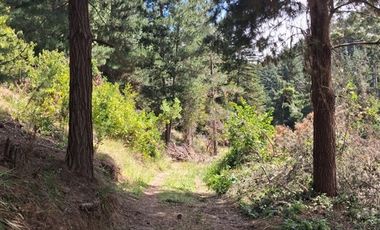 Parcela en Venta en Cabeceras, Paredones