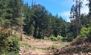 Parcela en Venta en Cabeceras, Paredones