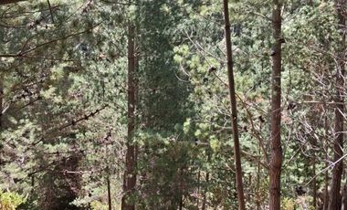 Parcela en Venta en Cabeceras, Paredones