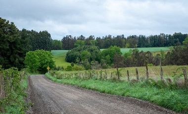 Venta terreno de 4.8 hectáreas sector Centinela