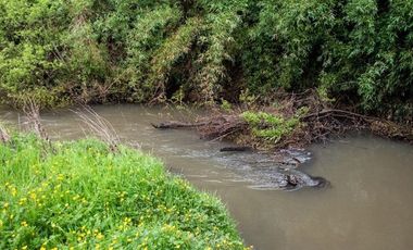 Venta terreno de 4.8 hectáreas sector Centinela