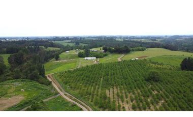 Venta terreno de 4.8 hectáreas sector Centinela