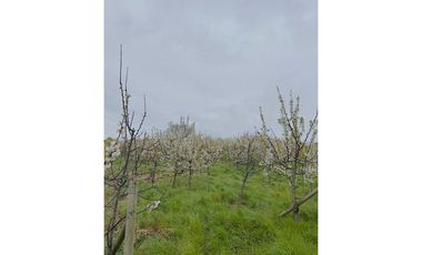 Venta terreno de 4.8 hectáreas sector Centinela