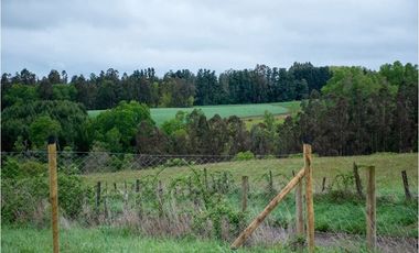 Venta terreno de 4.8 hectáreas sector Centinela