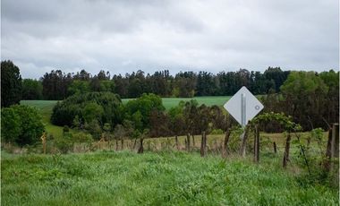 Venta terreno de 4.8 hectáreas sector Centinela