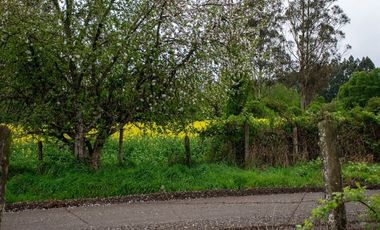 Venta terreno de 4.8 hectáreas sector Centinela