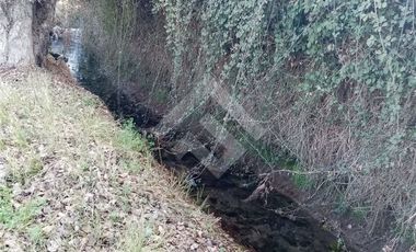 Agrícola en Venta en Zuñiga