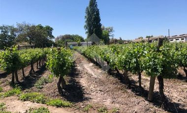 Agrícola en Venta en Zuñiga