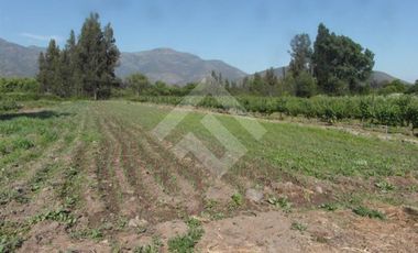 Agrícola en Venta en Zuñiga