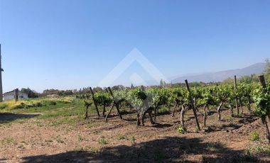 Agrícola en Venta en Zuñiga