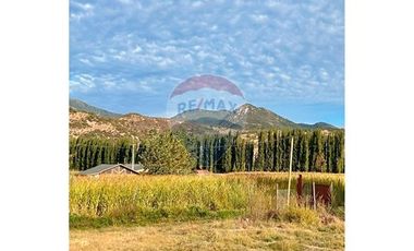 Terreno 5000m² en San Vicente: ¡Tu sueño espera!