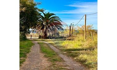 Terreno 5000m² en San Vicente: ¡Tu sueño espera!