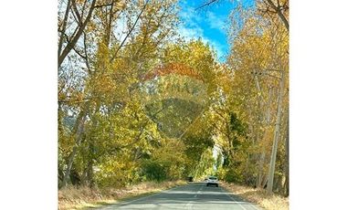 Terreno 5000m² en San Vicente: ¡Tu sueño espera!