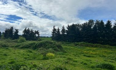 Paño inmobiliario en Venta, La Unión