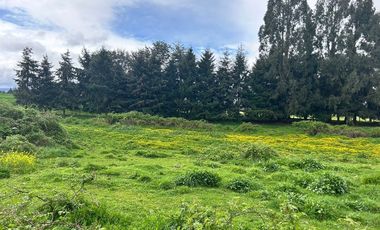 Paño inmobiliario en Venta, La Unión