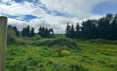 Paño inmobiliario en Venta, La Unión