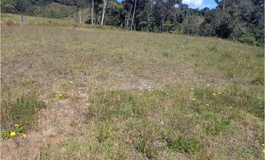 LOTE EN PARCELACIÓN SECTOR PANTANILLO EL RETIRO