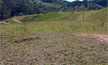LOTE EN PARCELACIÓN SECTOR PANTANILLO EL RETIRO
