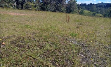 LOTE EN PARCELACIÓN SECTOR PANTANILLO EL RETIRO