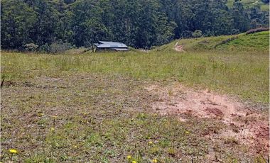 LOTE EN PARCELACIÓN SECTOR PANTANILLO EL RETIRO