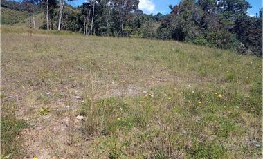 LOTE EN PARCELACIÓN SECTOR PANTANILLO EL RETIRO