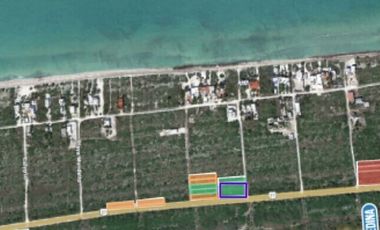 Venta Terreno en San Benito Yucatan Sobre Carretera km 22