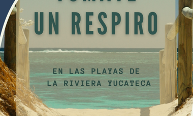 Venta Terreno en San Benito Yucatan Sobre Carretera km 22