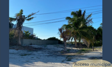 Venta Terreno en San Benito Yucatan Sobre Carretera km 22