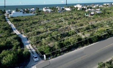 Venta Terreno en San Benito Yucatan km 22