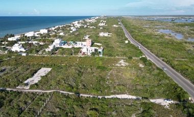 Venta Terreno en San Benito Yucatan km 22